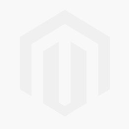 Audio2Car (Bury en Parrot MKi-serie)